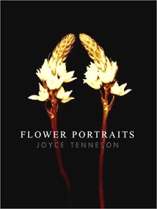 Click to order book from Amazon